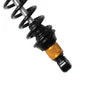 LYNX PPS2-DS+ X2 Series Rear EXIT Shock